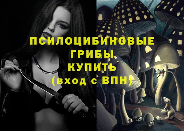 шишки Вуктыл