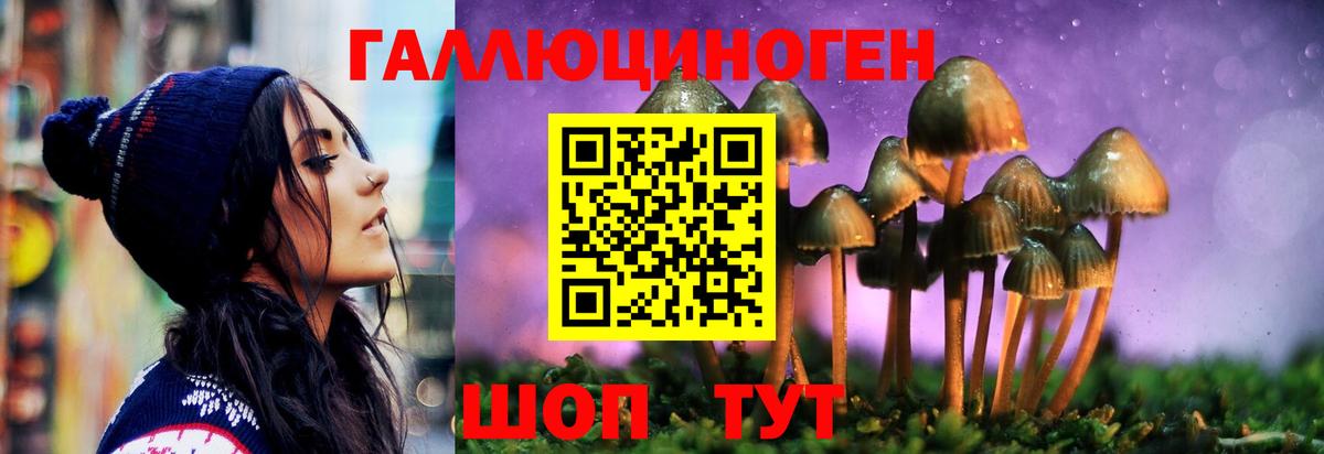 Галлюциногенные грибы Psilocybe  Псилоцибиновые грибы Psilocybe  Вход с VPN  купить наркоту  Анжеро-Судженск 